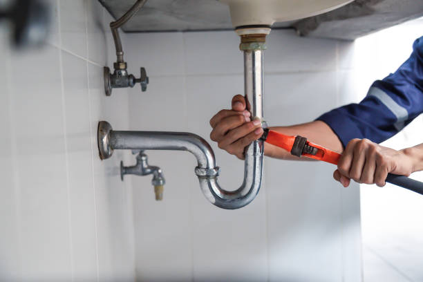 Best Local Plumber Services  in Mcgraw, NY